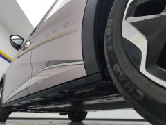 BYD Dolphin 405km Stylish Edition - photo 11