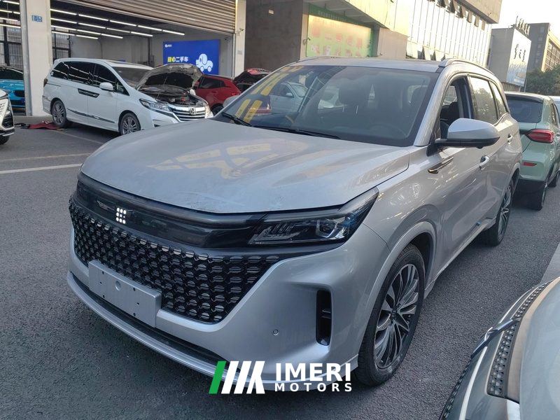 Blue Electric Landian E5 1.5L 94km Flagship 7-seater - автомобиль из Китая