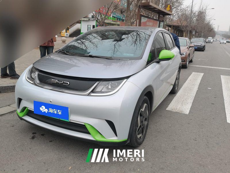BYD Dolphin 405km Free Version - ავტომობილი ჩინეთიდან
