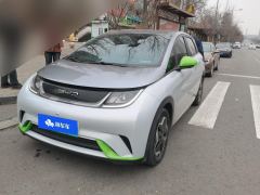 BYD Dolphin 405km Free Version - ფოტო 1