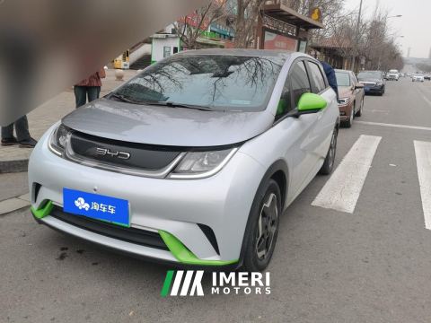 2021 BYD Dolphin 405km Free Version - car from China
