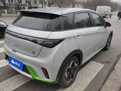 BYD Dolphin 405km Free Version - ფოტო 2