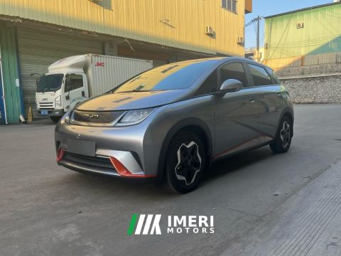 2021 BYD Dolphin 405km Free Version - car from China