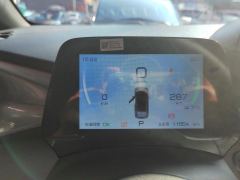 BYD Dolphin 405km Free Version - ფოტო 20