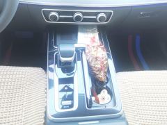 FAW Red Flag HS5 2.0T AWD Flagship Enjoy Pro - photo 19