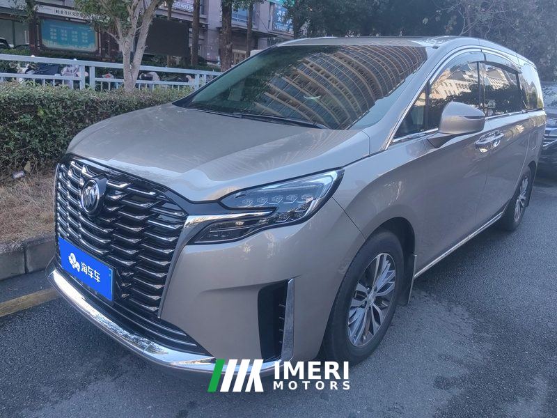 Buick GL8 ES Luxury Edition 2.0T Comfort Edition 7-seater