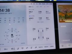 Li Auto L7 Pro - ფოტო 20