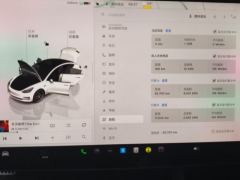 Tesla Model 3 556km Rear-Wheel Drive Edition - фото 20