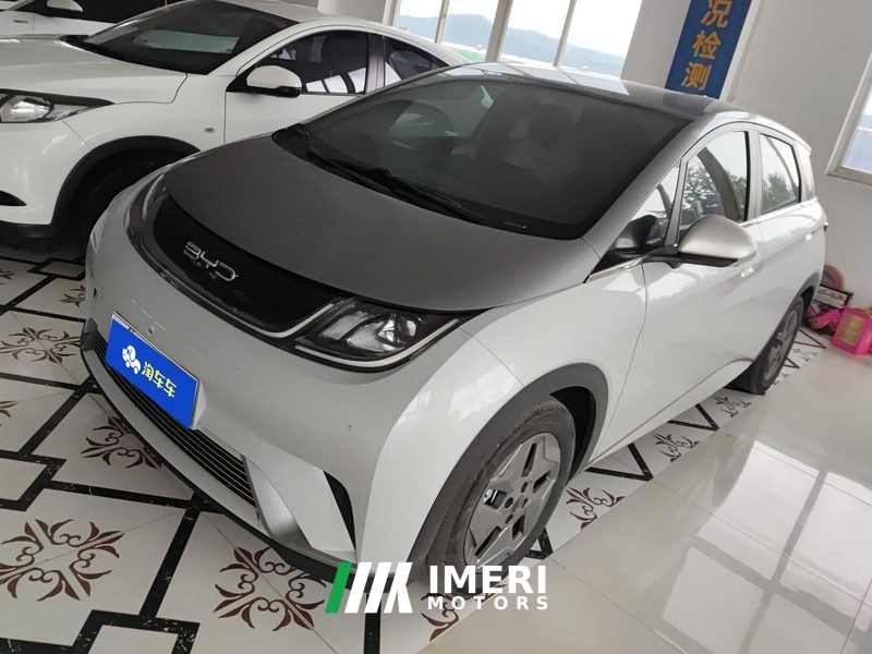 BYD Dolphin 405km Free Version - ავტომობილი ჩინეთიდან