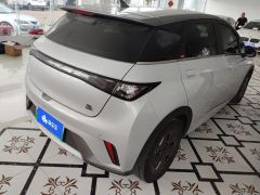 BYD Dolphin 405km Free Version - ფოტო 2