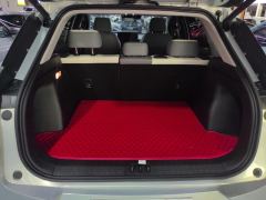 GAC AION V Plus 80 Zhixiang Technology Edition - photo 6