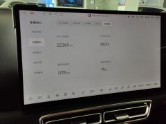 Li Auto Li L8 Pro - photo 20