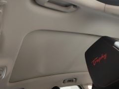 MG Pilot PHEV Hybrid Trophy Exclusive Edition - ფოტო 9