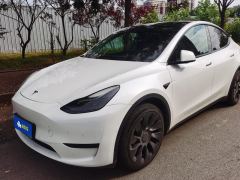 Tesla Model Y 545km Rear-Wheel Drive Edition - ფოტო 1