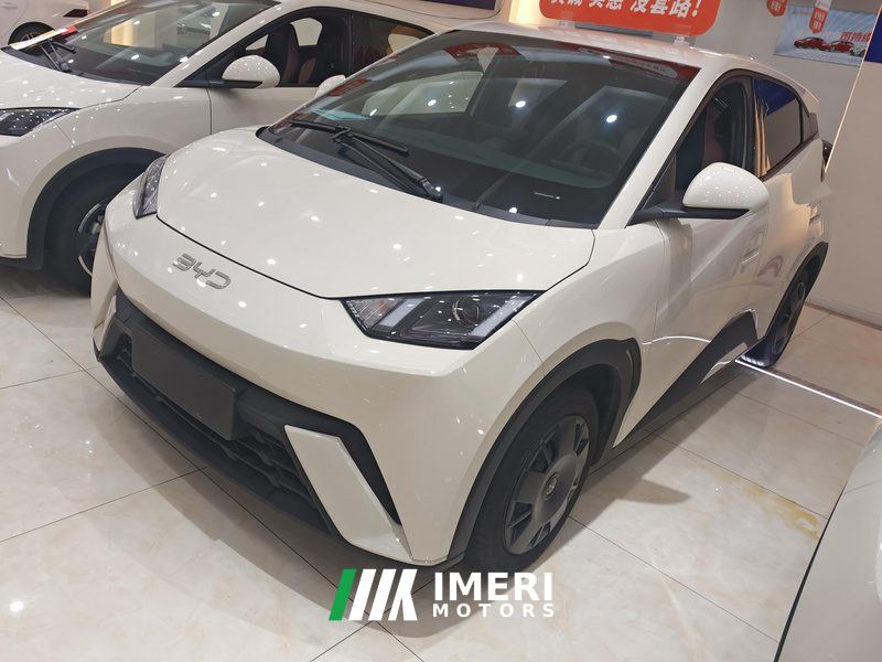 BYD Seagull Honor Edition 305km Vitality Edition - ავტომობილი ჩინეთიდან