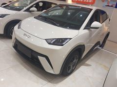 BYD Seagull Honor Edition 305km Vitality Edition - ფოტო 1