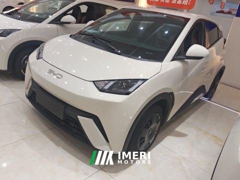 2024 BYD Seagull Honor Edition 305km Vitality Edition - ავტომობილი ჩინეთიდან