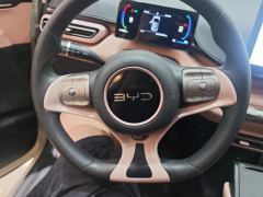 BYD Seagull Honor Edition 305km Vitality Edition - ფოტო 18