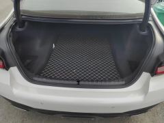 BMW 5 Series Facelift 525Li Luxury Package - photo 7