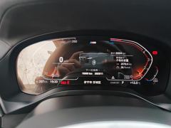 BMW X4 xDrive30i M Sport Package - ფოტო 20