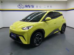 BYD Seagull 405km Flying Edition - photo 1