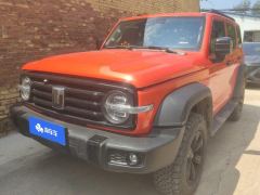 Tank 300 Off-Road Edition 2.0T Conqueror - ფოტო 1