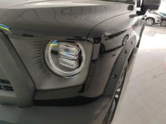 Haval Great Wall Big Dog Great Wall Dog 1.5T 2WD Horse Dog Edition - фото 4
