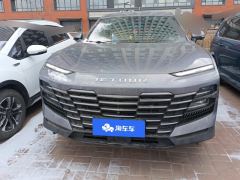 Jetour Dasheng 1.6T PLUS - photo 3