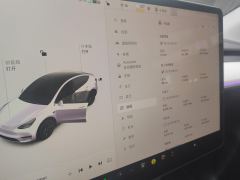 Tesla Model Y 554km Rear-Wheel Drive Edition - ფოტო 15