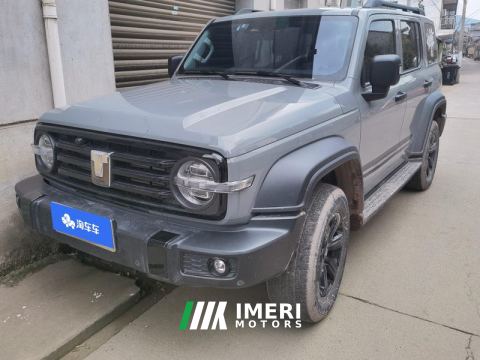 2021 Tank 300 Off-Road Edition 2.0T Conqueror - ავტომობილი ჩინეთიდან