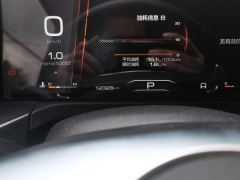Tank 300 Off-Road Edition 2.0T Conqueror - ფოტო 15
