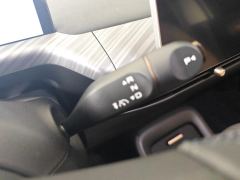 Baojun Cloud Yunduo 460 Max - ფოტო 19