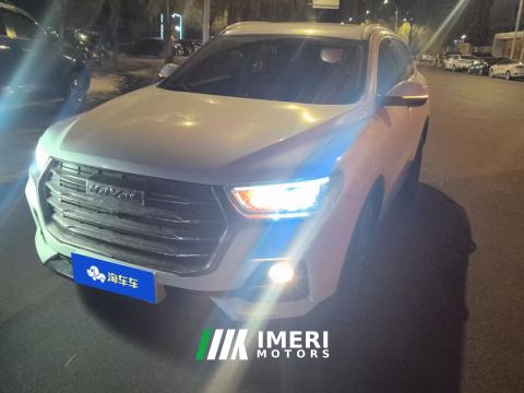 2021 Haval H6 Guochao Edition 1.5T 2WD Urban Edition - ავტომობილი ჩინეთიდან