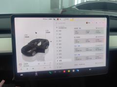Tesla Model Y 545km Rear-Wheel Drive Edition - ფოტო 20