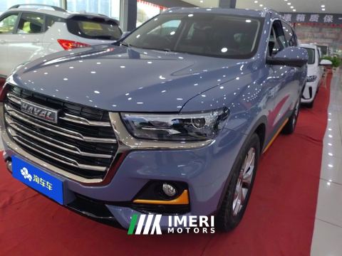 2021 Haval H6 Guochao Edition 1.5T 2WD Champion Edition - ავტომობილი ჩინეთიდან