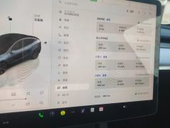 Tesla Model Y 688km Long Range AWD - ფოტო 20