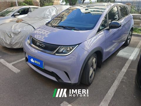 2023 BYD Dolphin 420km Stylish Edition - ავტომობილი ჩინეთიდან