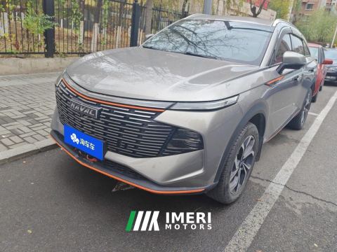 2022 Haval Mythical Beast 1.5T RWD Smart Edition - ავტომობილი ჩინეთიდან