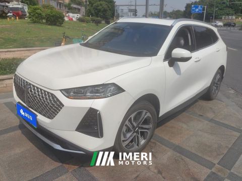 2021 WEY Macchiato 1.5L DHT Edition