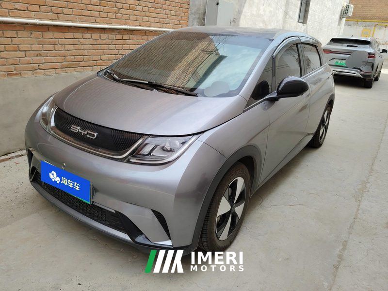 BYD Dolphin 420km Free Version - ავტომობილი ჩინეთიდან