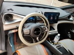 BYD Dolphin 420km Free Version - ფოტო 16