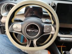 BYD Dolphin 420km Free Version - ფოტო 18
