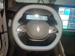 Livan Rui Lan Motors 7 605km Edition - ფოტო 18