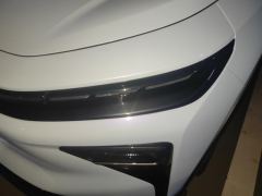 Livan Rui Lan Motors 7 605km Edition - ფოტო 4