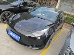 Tesla Model 3 556km Rear-Wheel Drive Edition - ფოტო 1