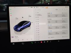 Tesla Model 3 556km Rear-Wheel Drive Edition - ფოტო 20