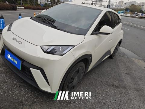2023 BYD Seagull 305km Vitality Edition - автомобиль из Китая