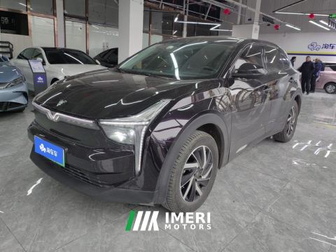 2021 Neta U Facelift Pro 400 Industry Custom Edition - car from China