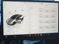 Tesla Model Y 554km Rear-Wheel Drive Edition - ფოტო 20