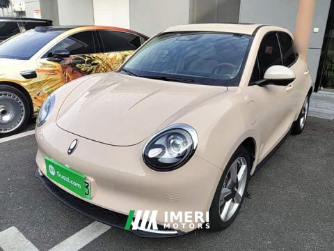 2021 ORA Good Cat 400km Standard Range Venus Edition LFP Battery - ავტომობილი ჩინეთიდან